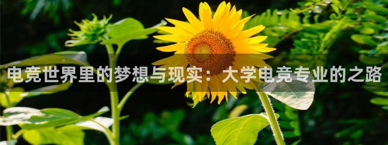 JJB电竞官方网站：电竞世界里的梦想与现实：大学电竞专业的之路