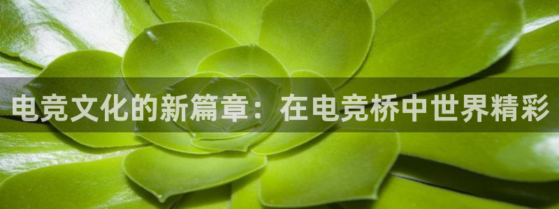 JJB电竞官：电竞文化的新篇章：在电竞桥中世界精彩