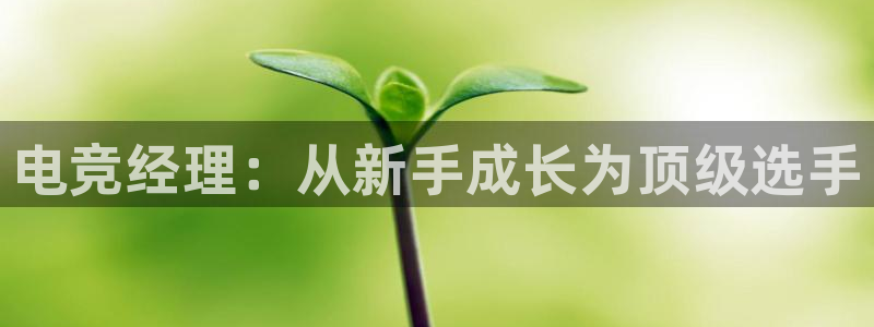 JJB电竞官：电竞经理：从新手成长为顶级选手