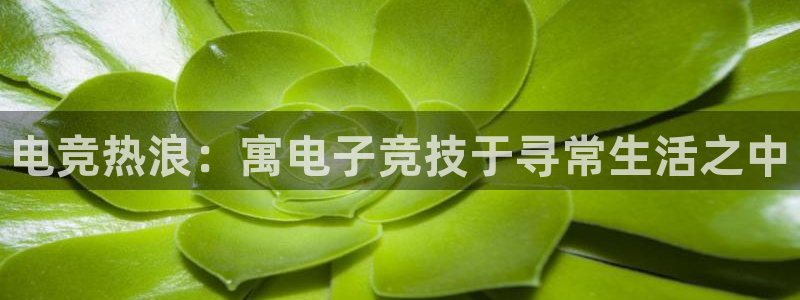 JJB电竞官方网站：电竞热浪：寓电子竞技于寻常生活之中
