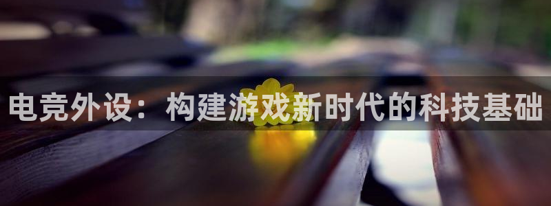 JJB电竞官方网站：电竞外设：构建游戏新时代的科技基础
