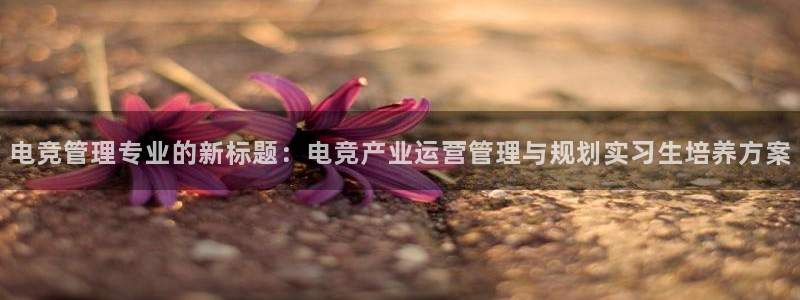 JJB电竞官方网站：电竞管理专业的新标题：电竞产业运营管理与规划实习生培养方案