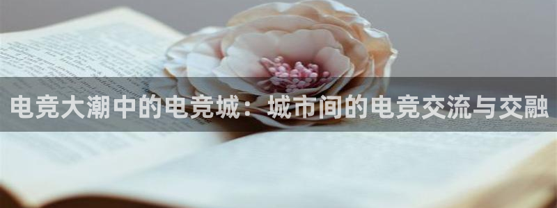 JJB电竞官：电竞大潮中的电竞城：城市间的电竞交流与交融