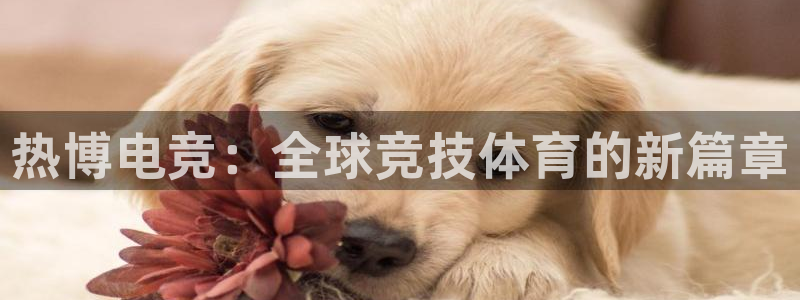 JJB电竞官：热博电竞：全球竞技体育的新篇章